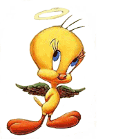 Gifs animés titi saint
